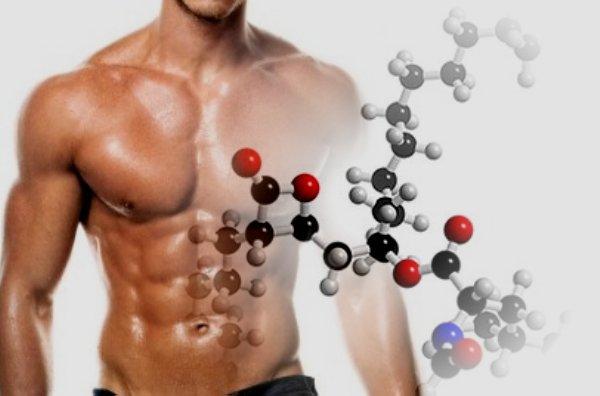 aminoacidos 88 Qué son los Aminoácidos y Para Qué Sirven