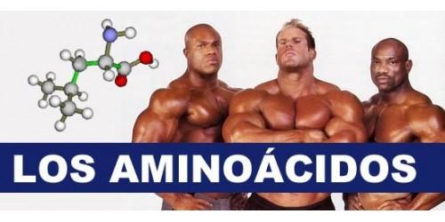 aminoacidos y bcaa Qué son los Aminoácidos y Para Qué Sirven