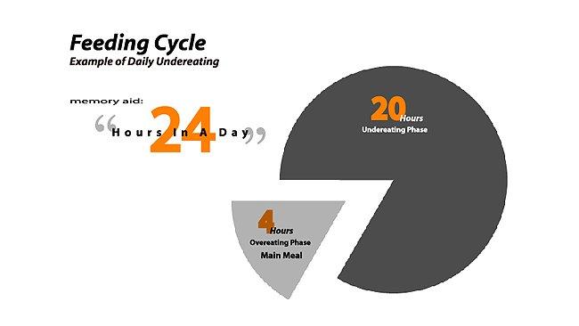 dieta del guerrero 7 La Dieta del Guerrero 