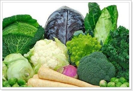 verduras cruciferas Top de 10 Alimentos que te Ayudarán a Trabajar con más Eficiencia 