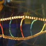 Genética y rendimiento deportivo ¿Excusa o realidad? 