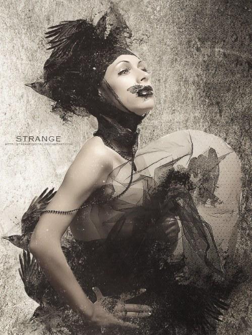 fotoinspiraciones photoshop