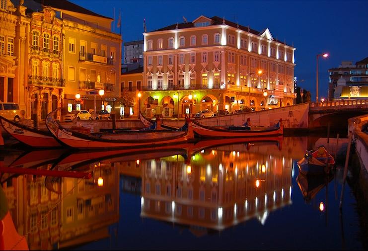 whitedahlia_Aveiro-Portugal8