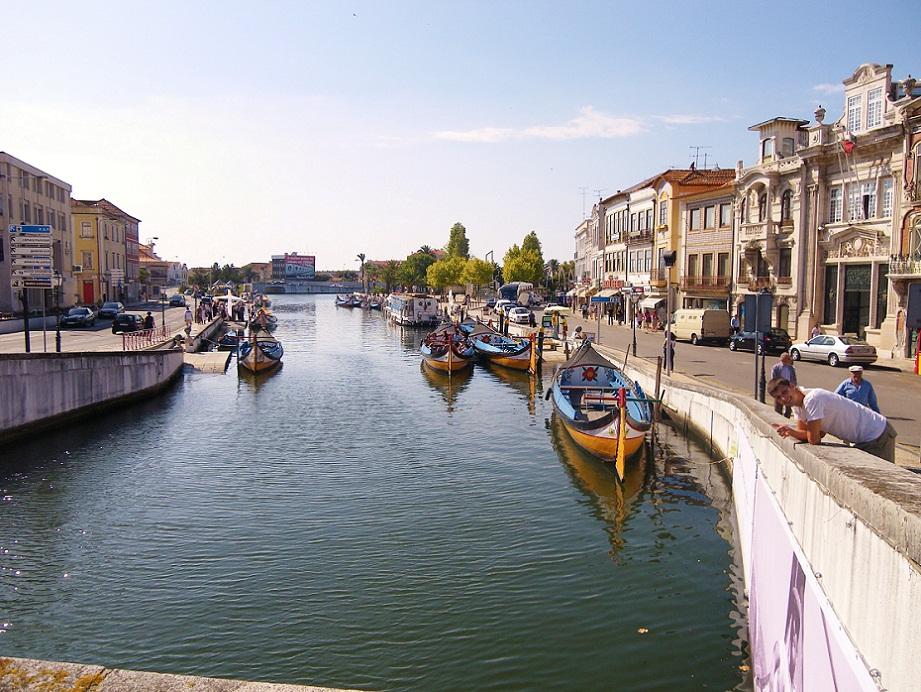 whitedahlia_Aveiro-Portugal3