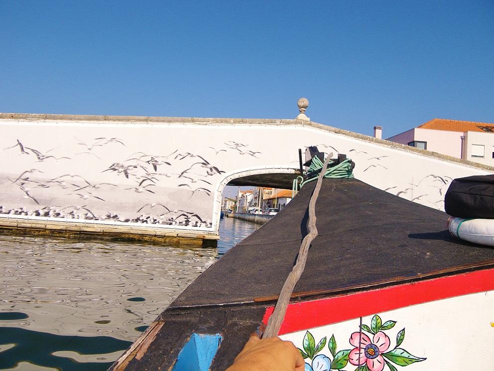 whitedahlia_Aveiro-Portugal4