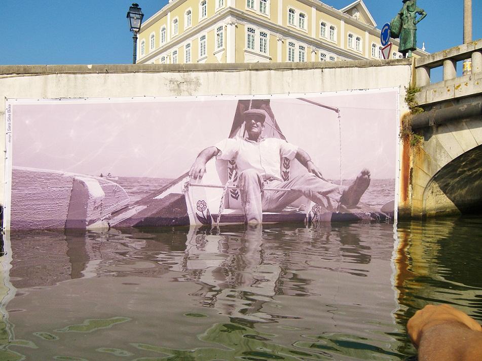 whitedahlia_Aveiro-Portugal5