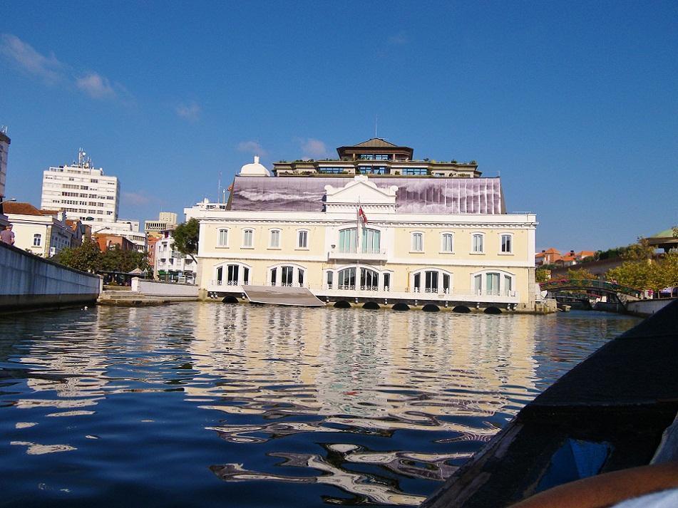 whitedahlia_Aveiro-Portugal6