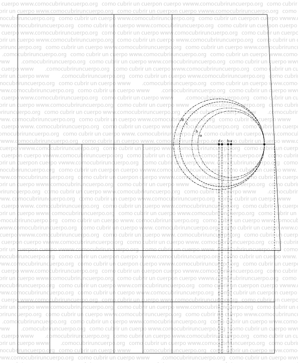 base-del-corse-copas-separadas_02