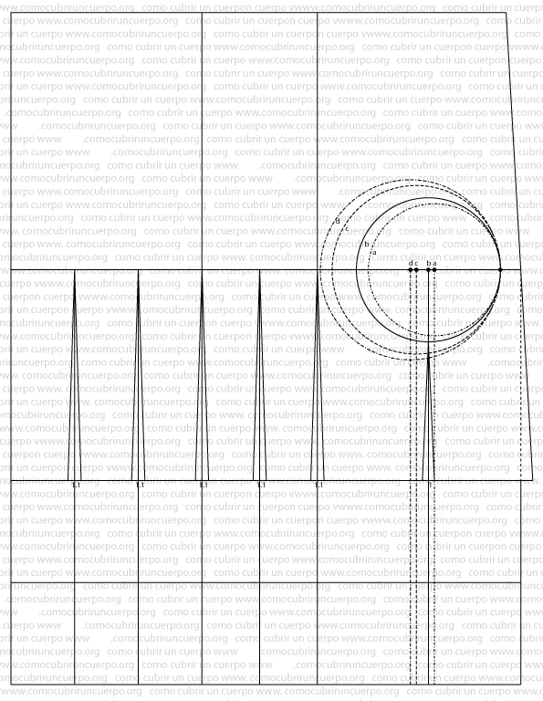 base-del-corse-copas-separadas_03