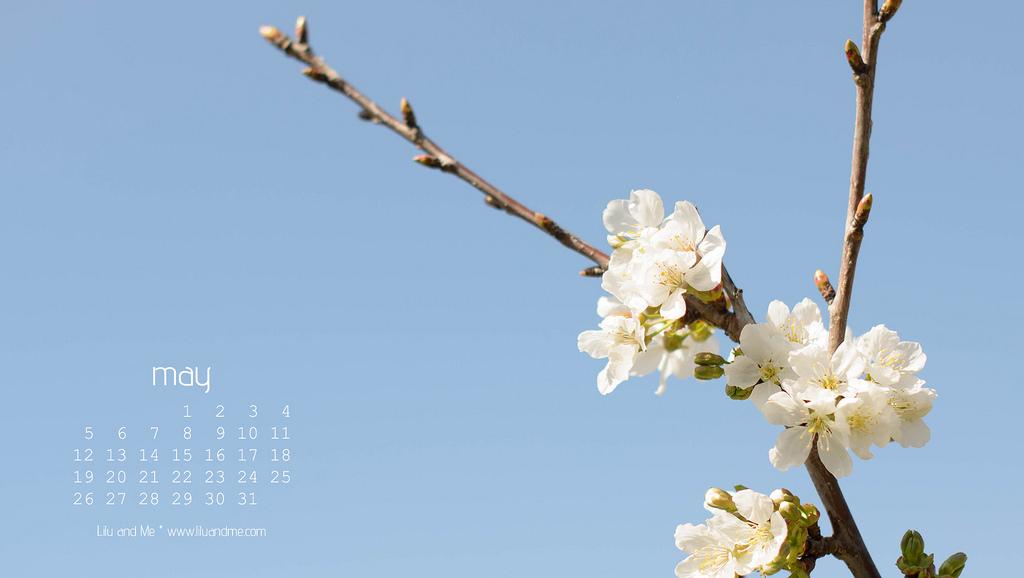 May Calendar for Desktop