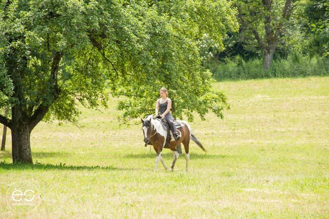 picnic-campo-escandinavo-23