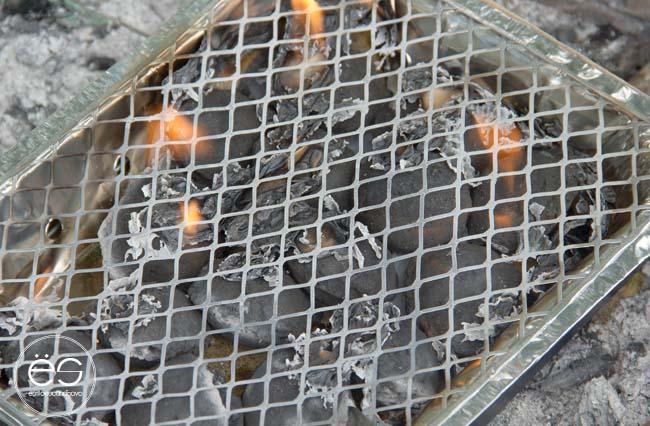 picnic-campo-escandinavo-10