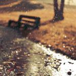 detalles_lluvia_2