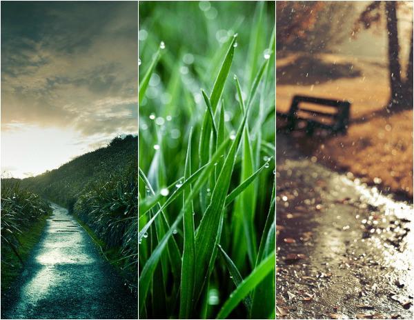 el olor de la lluvia