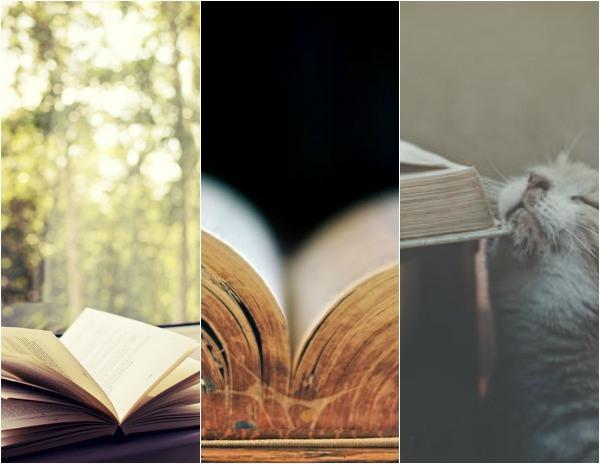 el olor de los libros