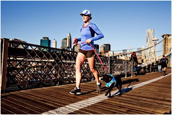 ejercicio con mascota Flordselva