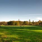 Central Park foliage photo-walk, Nov 2009 - 25