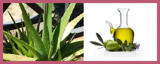 cats4 Cómo hacer una loción corporal casera