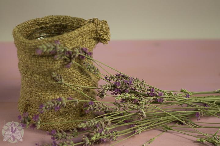 ramitas de lavanda