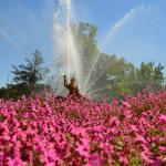 De la A a la Z: A de Aranjuez