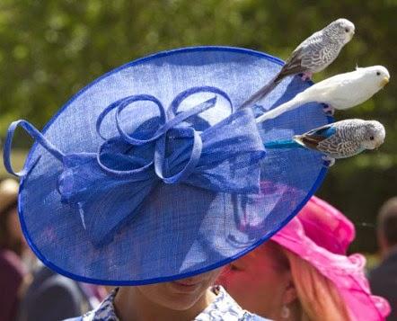 ascot-tocados-adoraideas