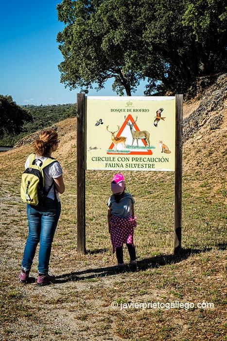 Bosque de Riofrío. Real Palacio de Riofrío. Segovia. Castilla y León. España. © Javier Prieto Gallego;