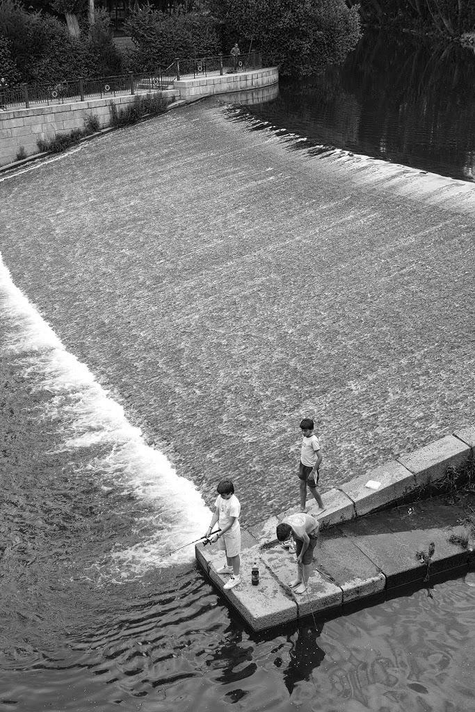 Unos niños pescan en la presa de La Moneda. Junto al Paseo junto a las orillas del Eresma. Segovia. Castilla y León. España. © Javier Prieto Gallego; 