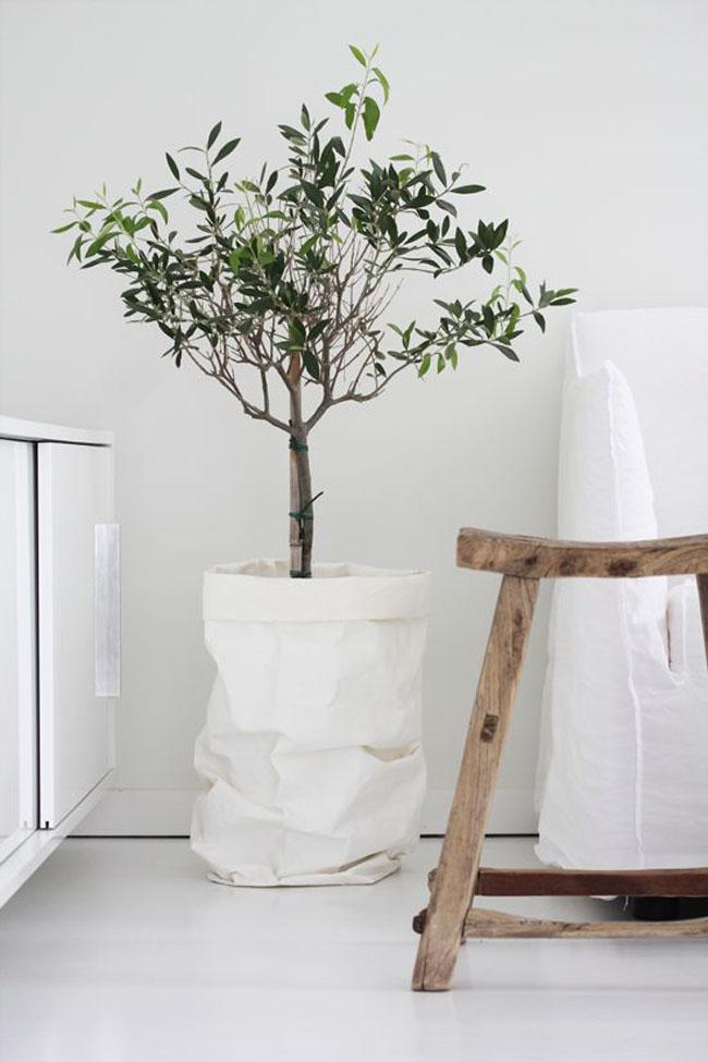 decoracion-blanco+plantas-03