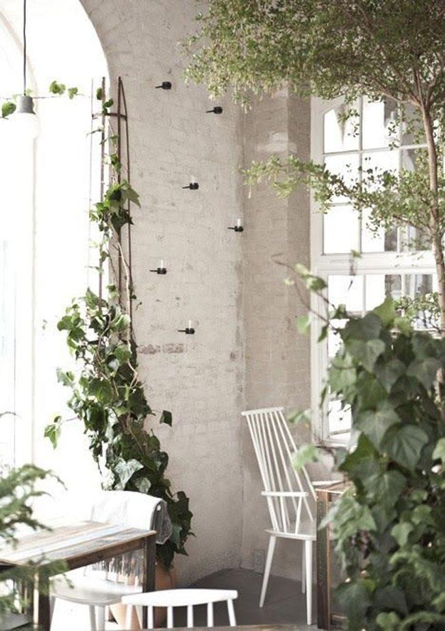 decoracion-blanco+plantas-04