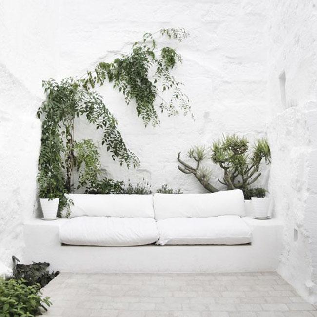 decoracion-blanco+plantas-08