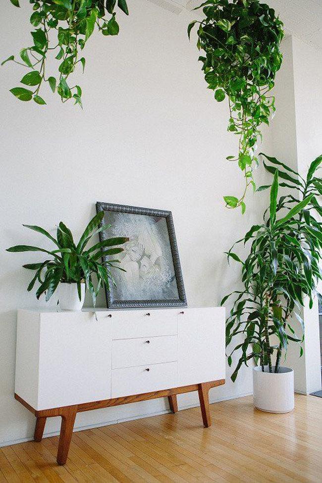 decoracion-blanco+plantas-09
