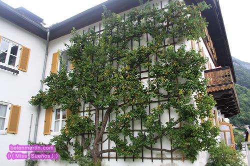 Hoy compartimos… ventana,terraza,jardín | Decoración