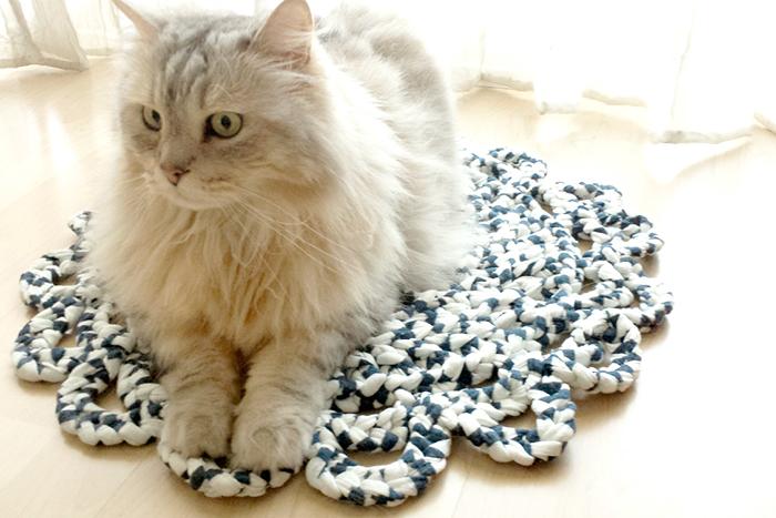 Gato sobre alfombra de trapillo