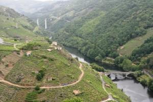 Ribeira Sacra
