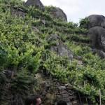 Más dificil todavía!!