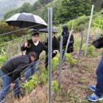 A pesar de la lluvia