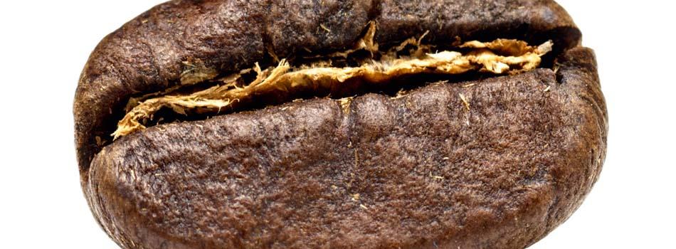 Grano de café primer plano