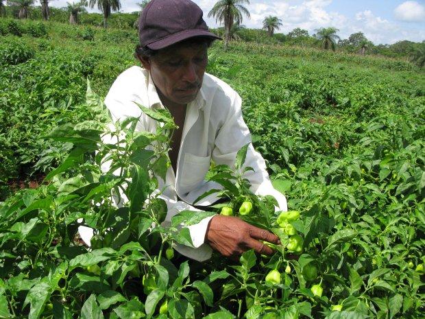 Imagen http://yucatan.com.mx/