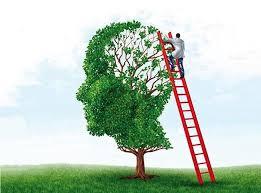 los sueños son del tamaño que tu desees 2