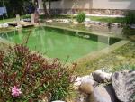 Piscinas_ecologicas_12