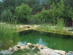 Piscinas_ecologicas_7