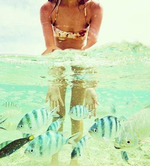 9d439b90ebe81b8af91a64f317fbd32b