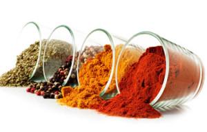 Foto tomada de ww.marcopolo.cl