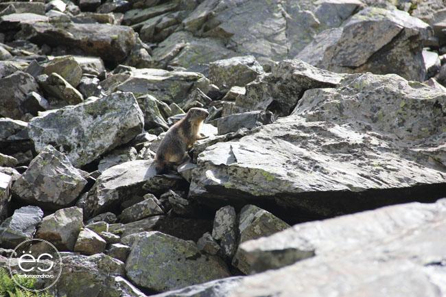 escandinavo-wedeco-vive-el-verano-02