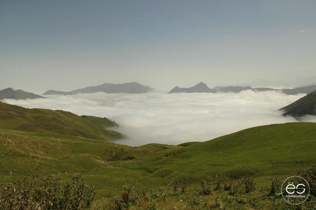 escandinavo-wedeco-vive-el-verano-08