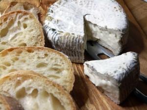 Saltspring Island Goat Cheese Blue Juliette November 29th, 2010 5