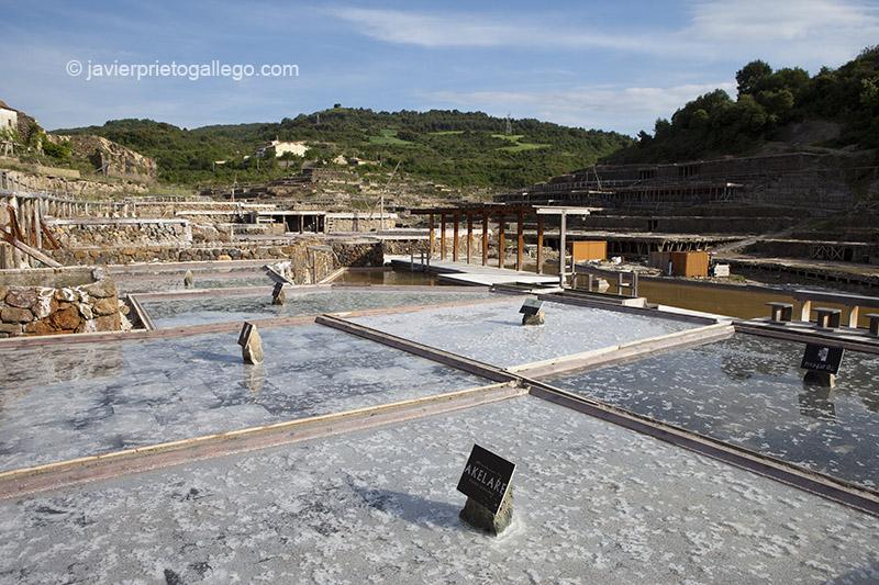 La sal va cristalizando poco a poco en la superficie del agua. Salinas de Añana. Álava. País Vasco. España. © Javier Prieto Gallego