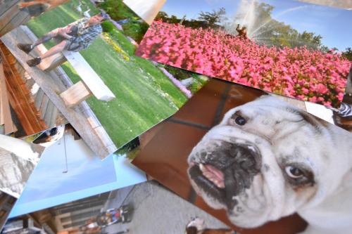 diy ventana amarilla