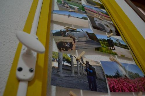 diy ventana amarilla