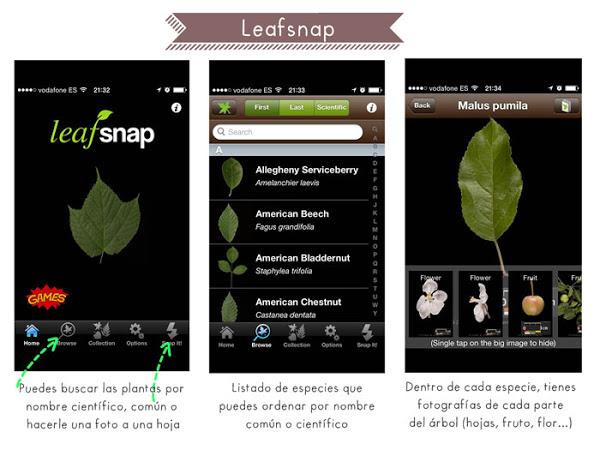 6 apps gratuitas para ser más ecofriendly